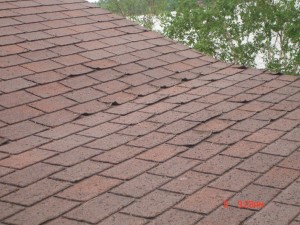 Curling Shingles on Roof